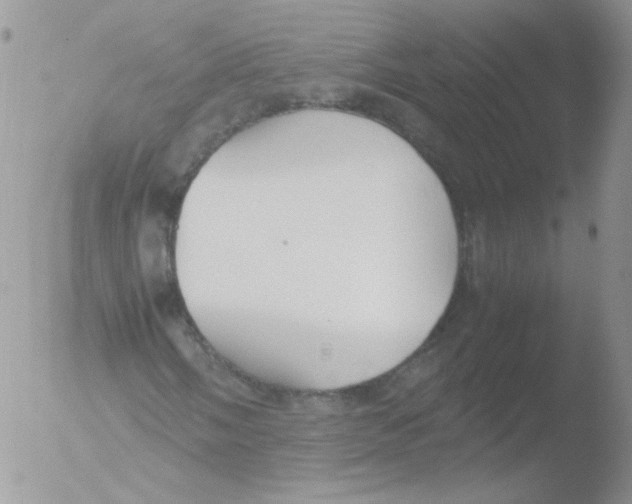 X0000051911058200507152025