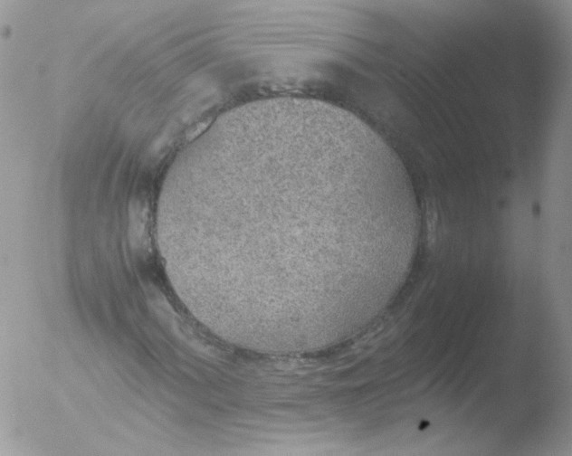 X0000051911060200507152025