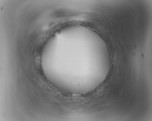 X0000051911061200507152025