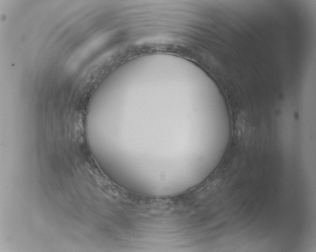 X0000051911062200507152025