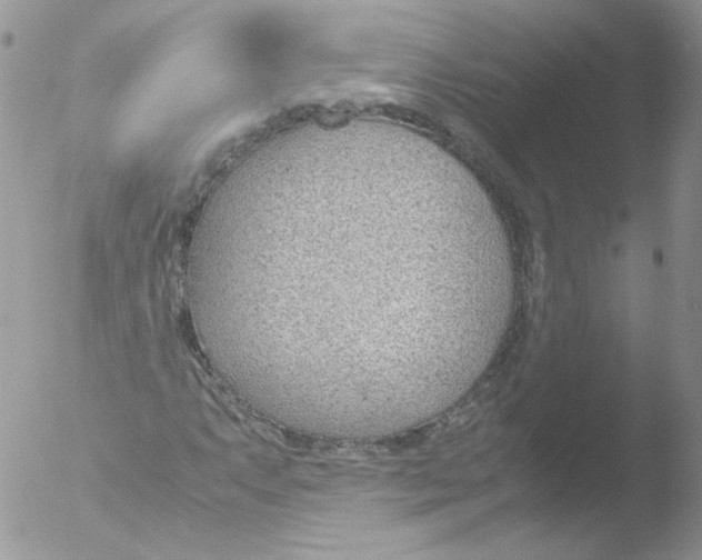 X0000051911063200507152025