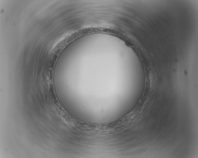 X0000051911064200507152025