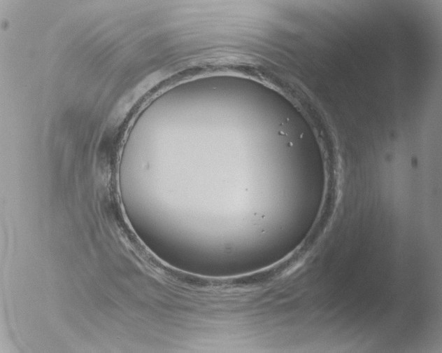 X0000051911065200507152025