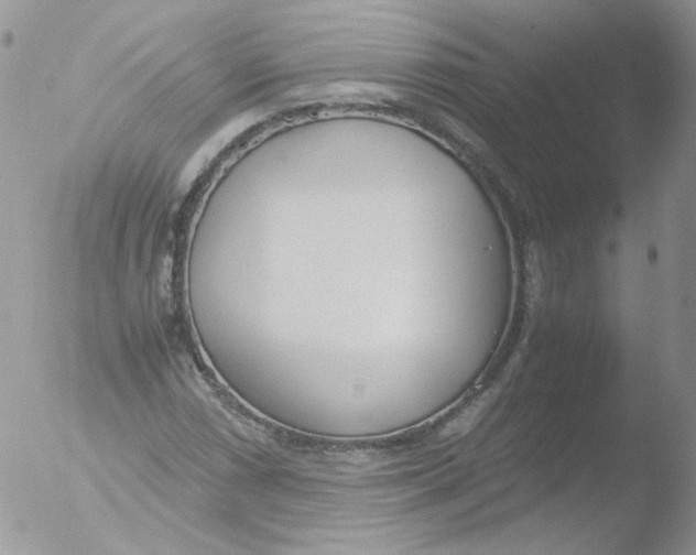 X0000051911066200507152025