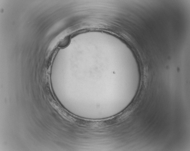 X0000051911067200507152025