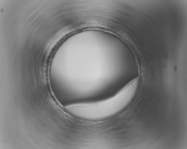 X0000051911068200507152025