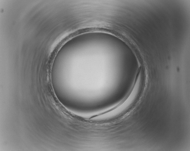 X0000051911069200507152025