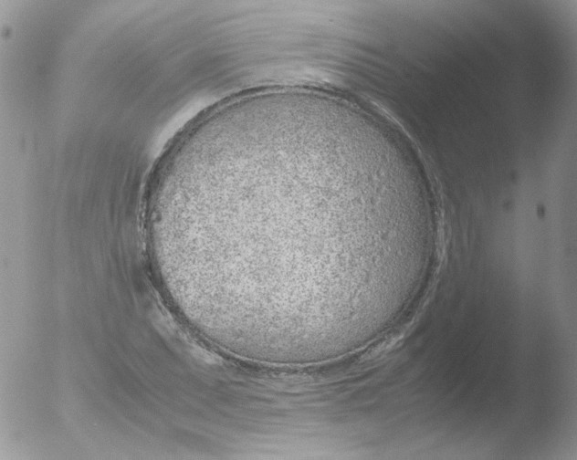 X0000051911071200507152025