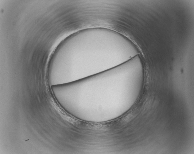 X0000051911072200507152025