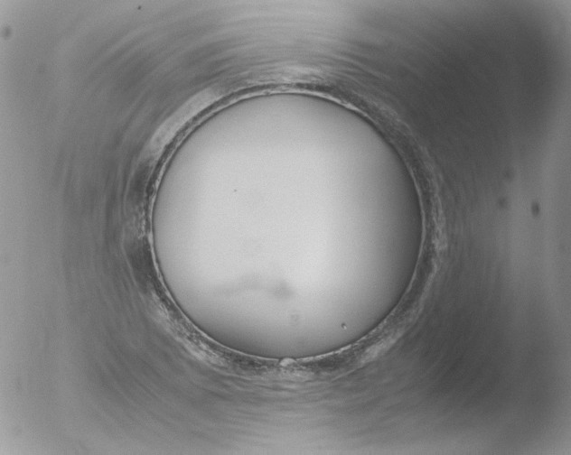 X0000051911073200507152025