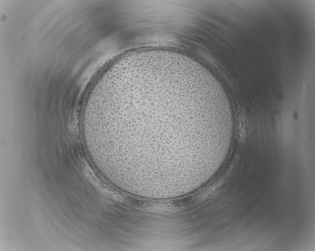 X0000051911074200507152025