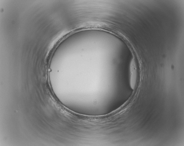 X0000051911075200507152025