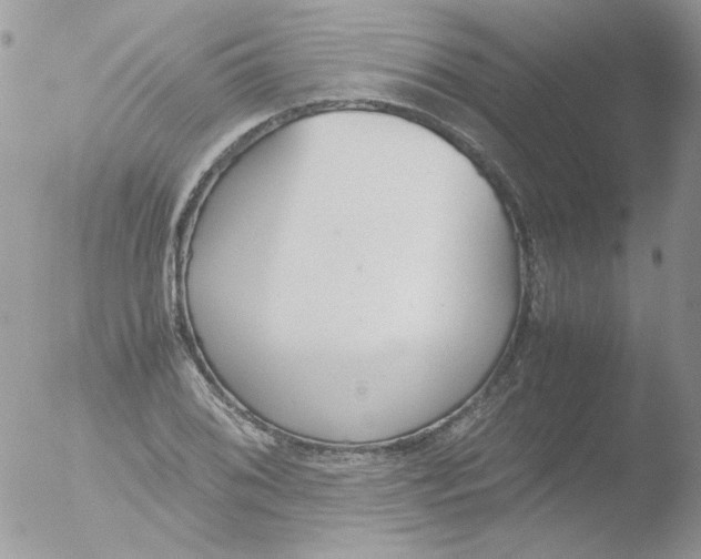 X0000051911076200507152025