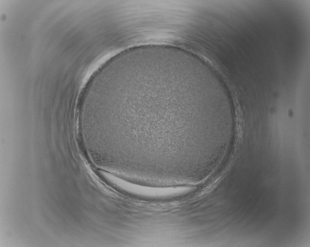 X0000051911077200507152025