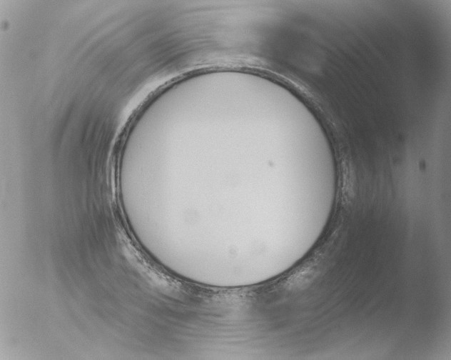 X0000051911078200507152025