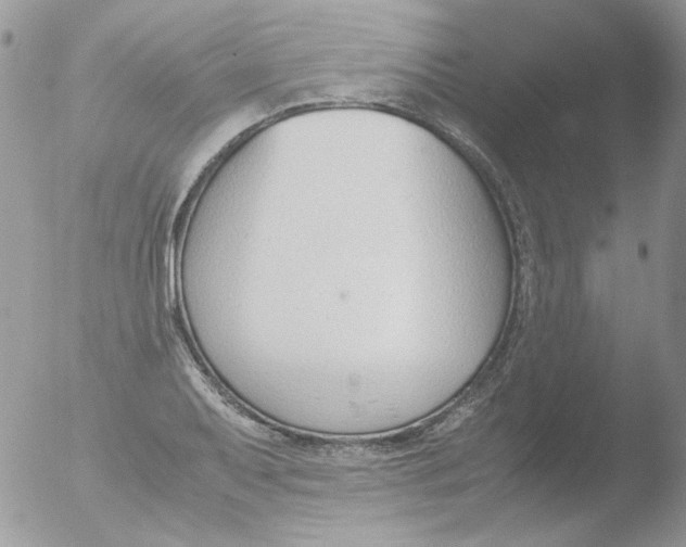 X0000051911079200507152025