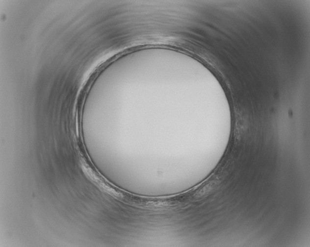 X0000051911080200507152025