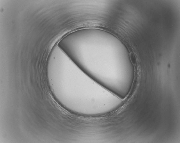 X0000051911081200507152025