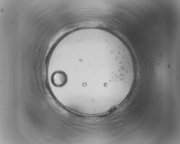 X0000051911083200507152025