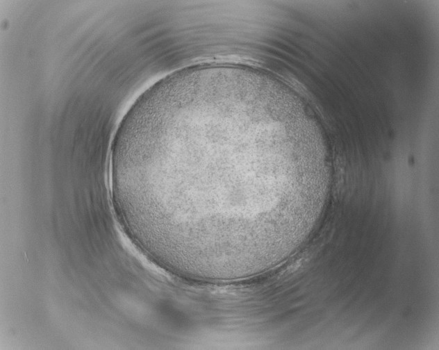 X0000051911084200507152025