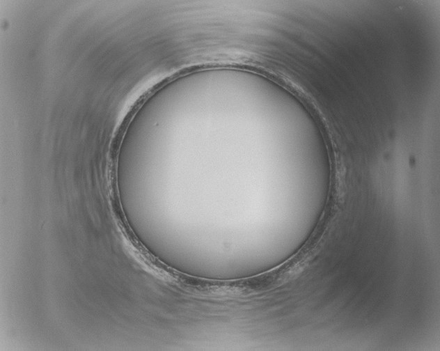 X0000051911085200507152025