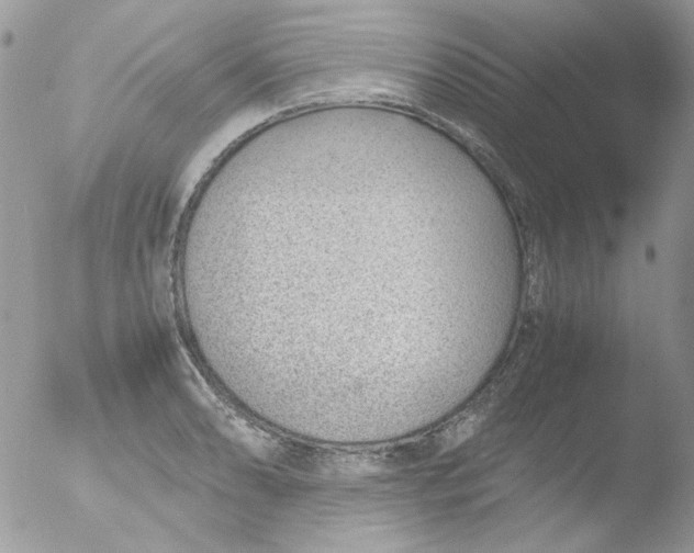 X0000051911086200507152025