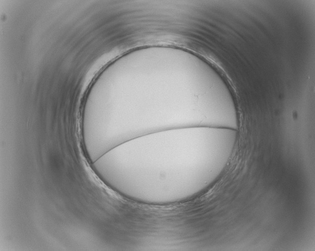 X0000051911088200507152024