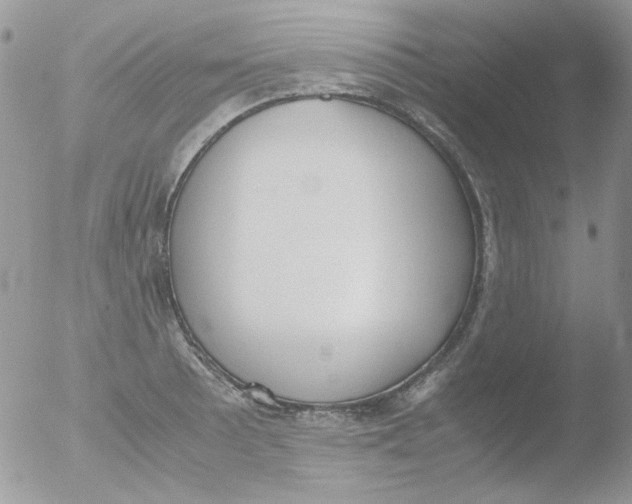 X0000051911089200507152024