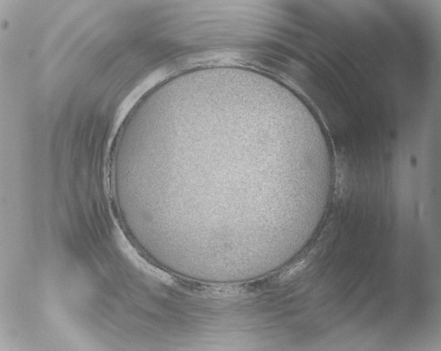 X0000051911090200507152024