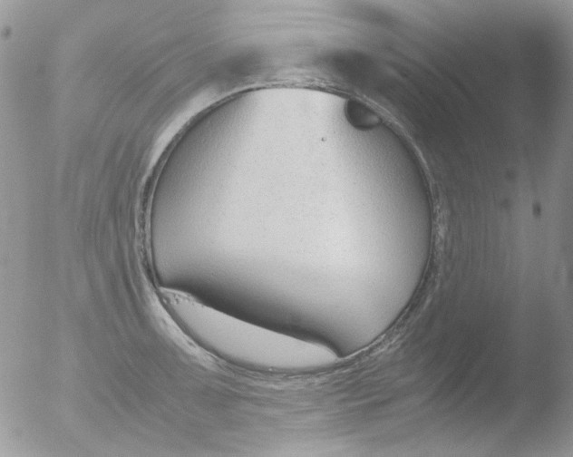 X0000051911091200507152024