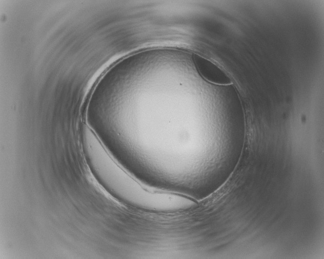 X0000051911092200507152024