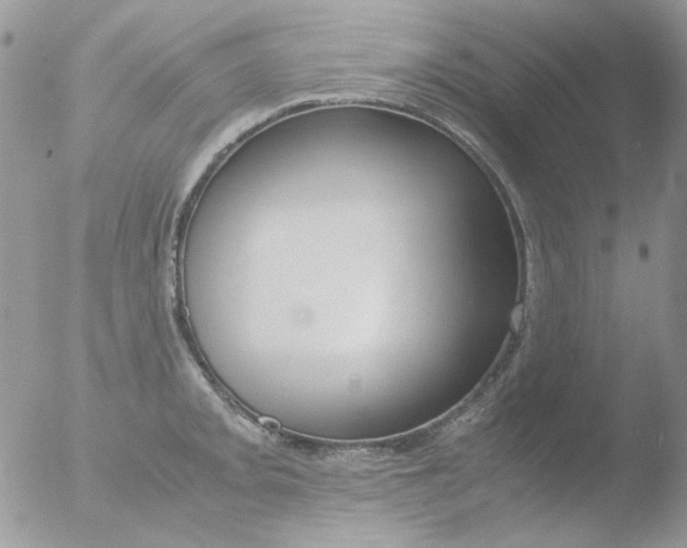 X0000051911093200507152024