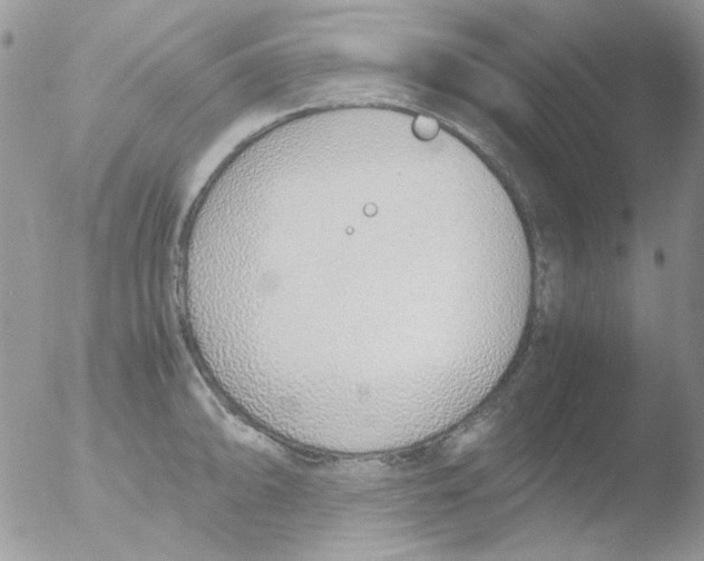 X0000051911094200507152024