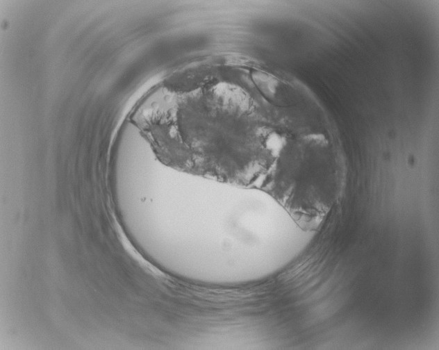 X0000051911095200507152024