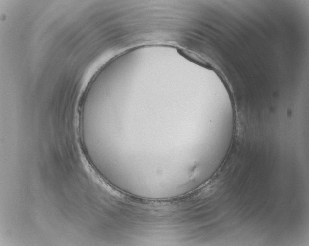 X0000051911096200507152024