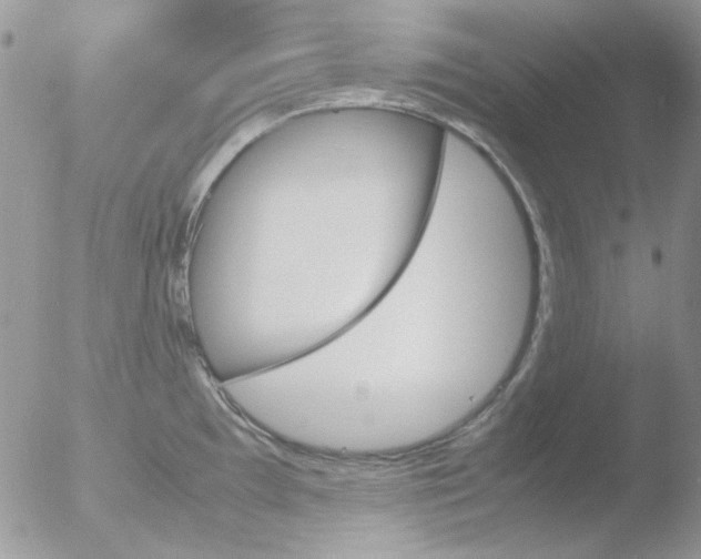 X0000051911097200507152024