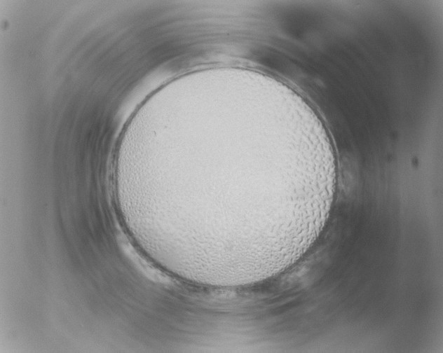 X0000051911098200507152024