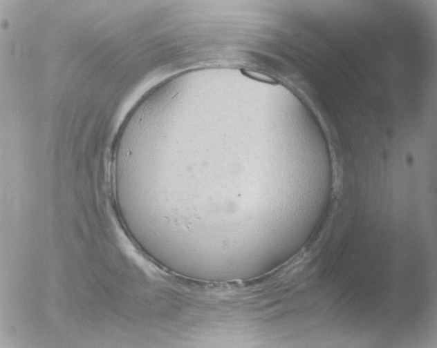 X0000051911099200507152024