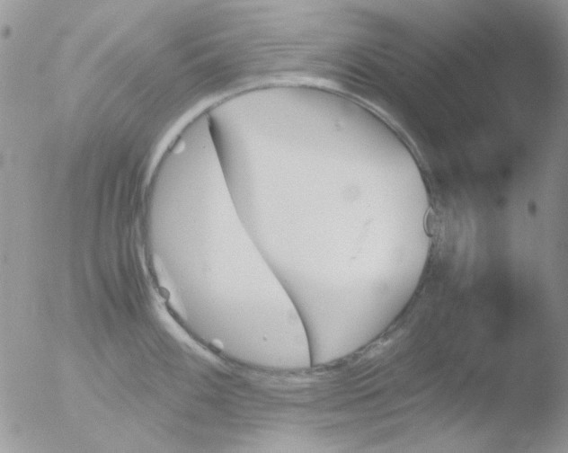 X0000051911100200507152024