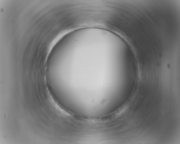 X0000051911102200507152024