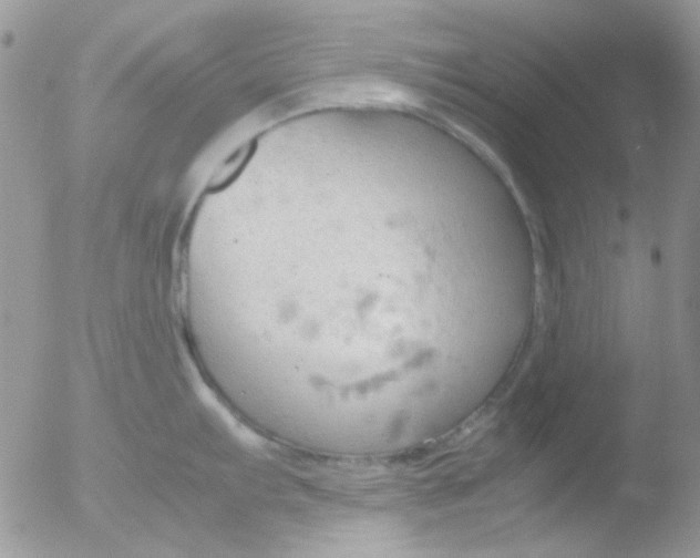 X0000051911103200507152024