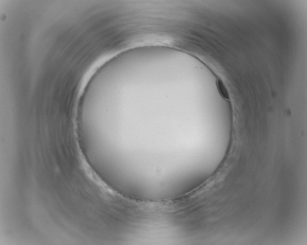 X0000051911104200507152024