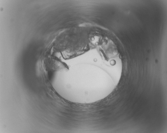 X0000051911105200507152023