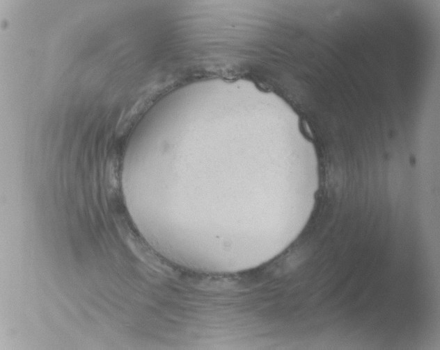 X0000051911106200507152023