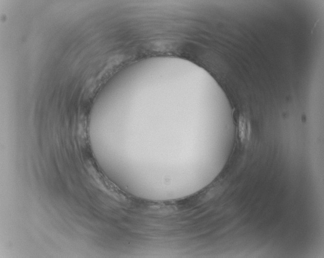 X0000051911107200507152023