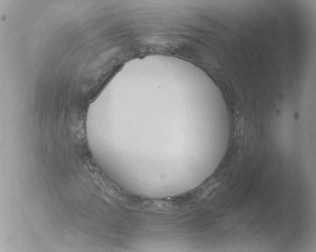 X0000051911109200507152023