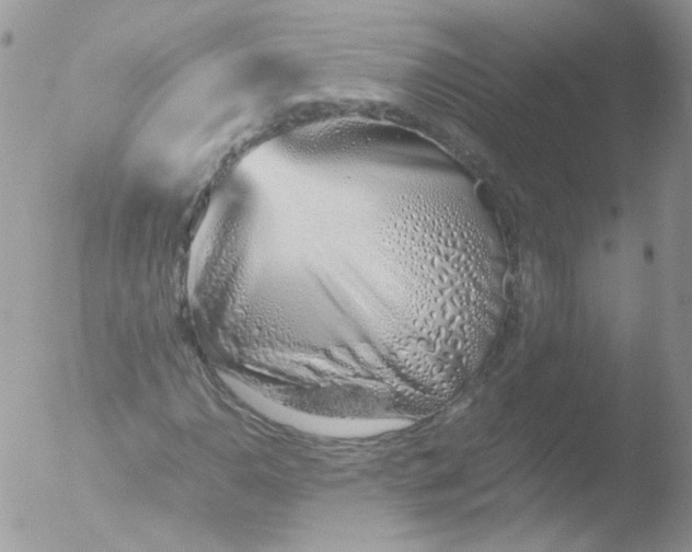 X0000051911110200507152023