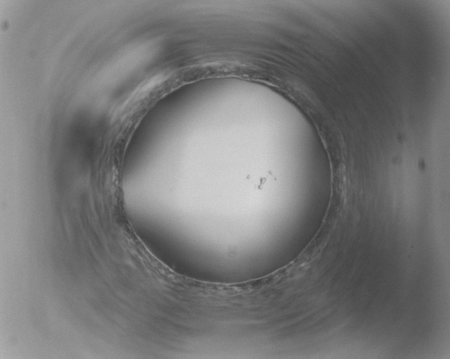 X0000051911111200507152023