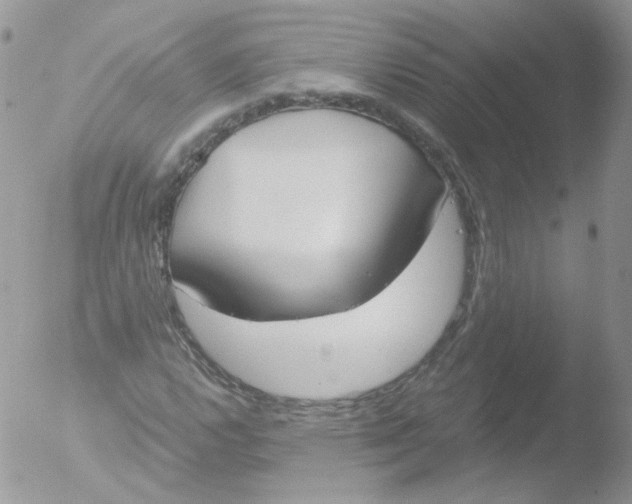 X0000051911112200507152024