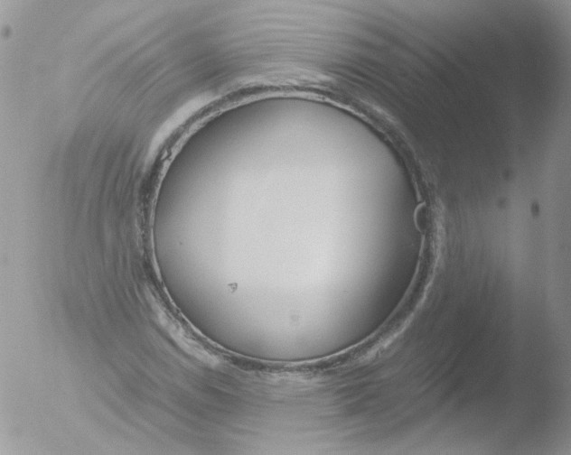 X0000051911114200507152024